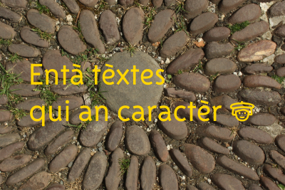 Biarnesa Tèxte